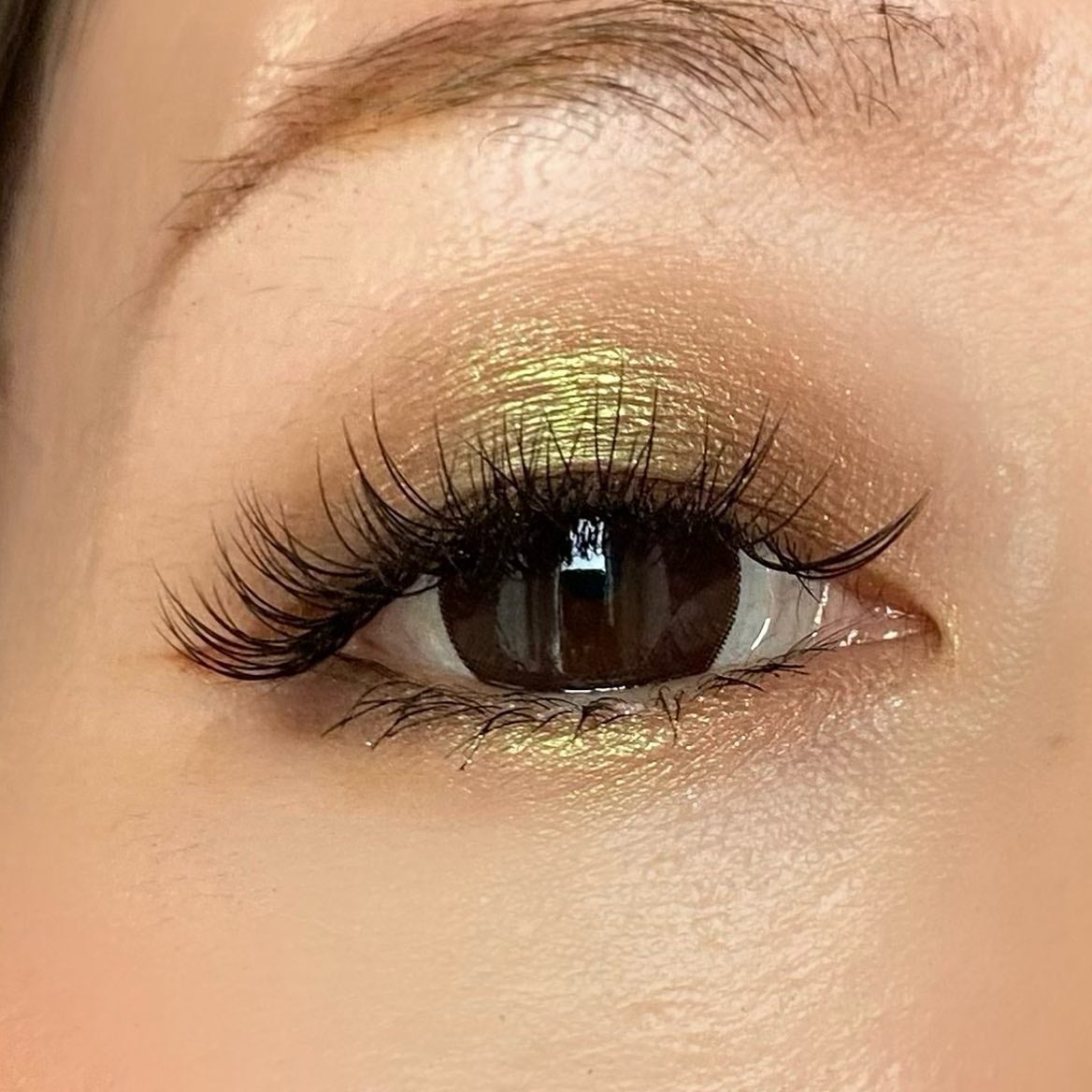 シグニチャー カラー アイズ/SUQQU/アイシャドウパレットを使ったクチコミ(2枚目)