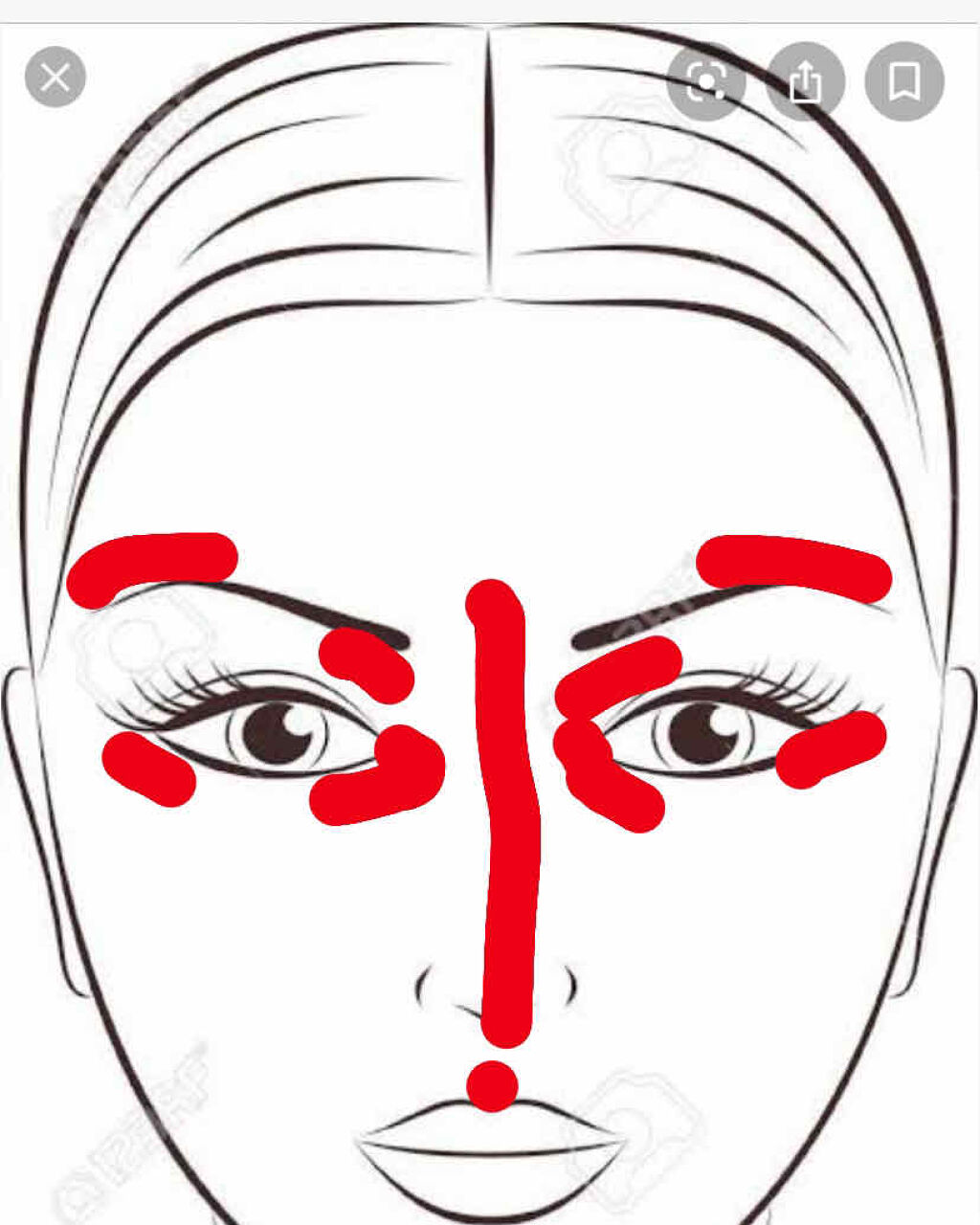 パールグロウハイライト/CEZANNE/パウダーハイライトを使ったクチコミ（2枚目）