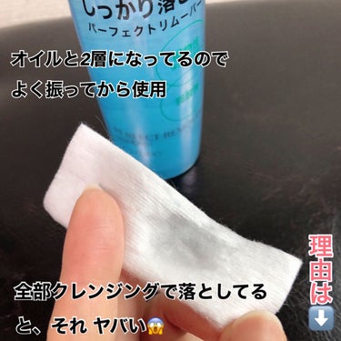 試してみた】パーフェクトリムーバー(アイ&リップ)/SHISEIDOの