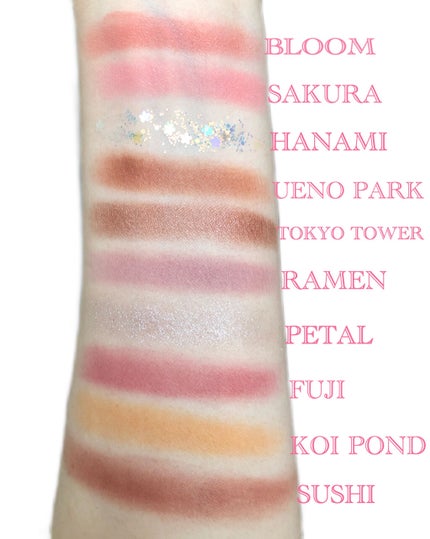 GO TRAVEL 15色アイシャドウパレット/FOCALLURE/アイシャドウパレットを使ったクチコミ(5枚目)