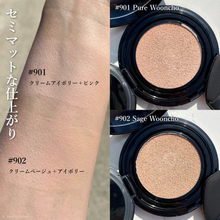 ブラーフィニッシュ雲楚クッション/Dinto/クッションファンデーションを使ったクチコミ(4枚目)