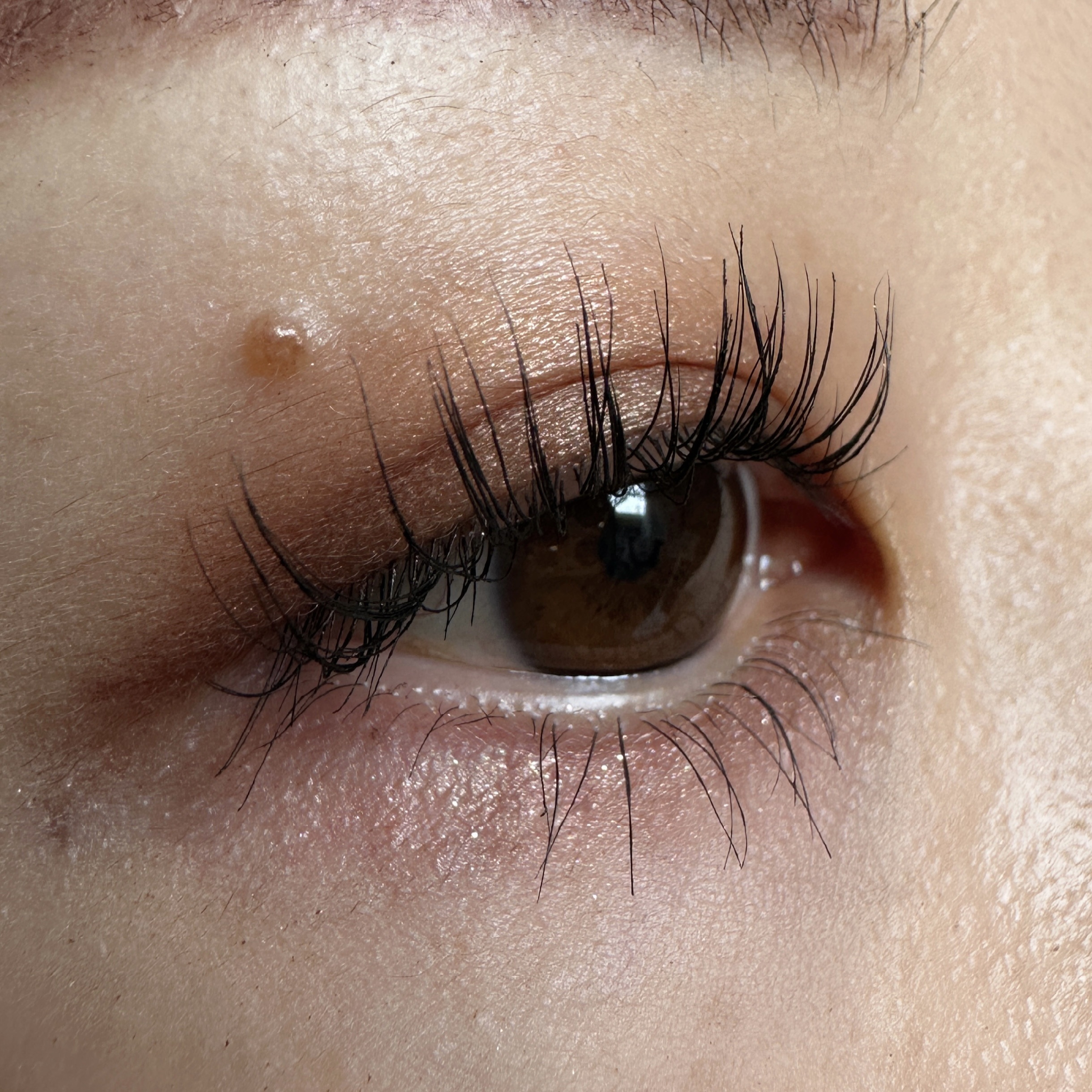 アイ カラー クォード/TOM FORD BEAUTY/アイシャドウパレットを使ったクチコミ（2枚目）