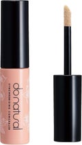 シンクロナイジング コンシーラー / do natural