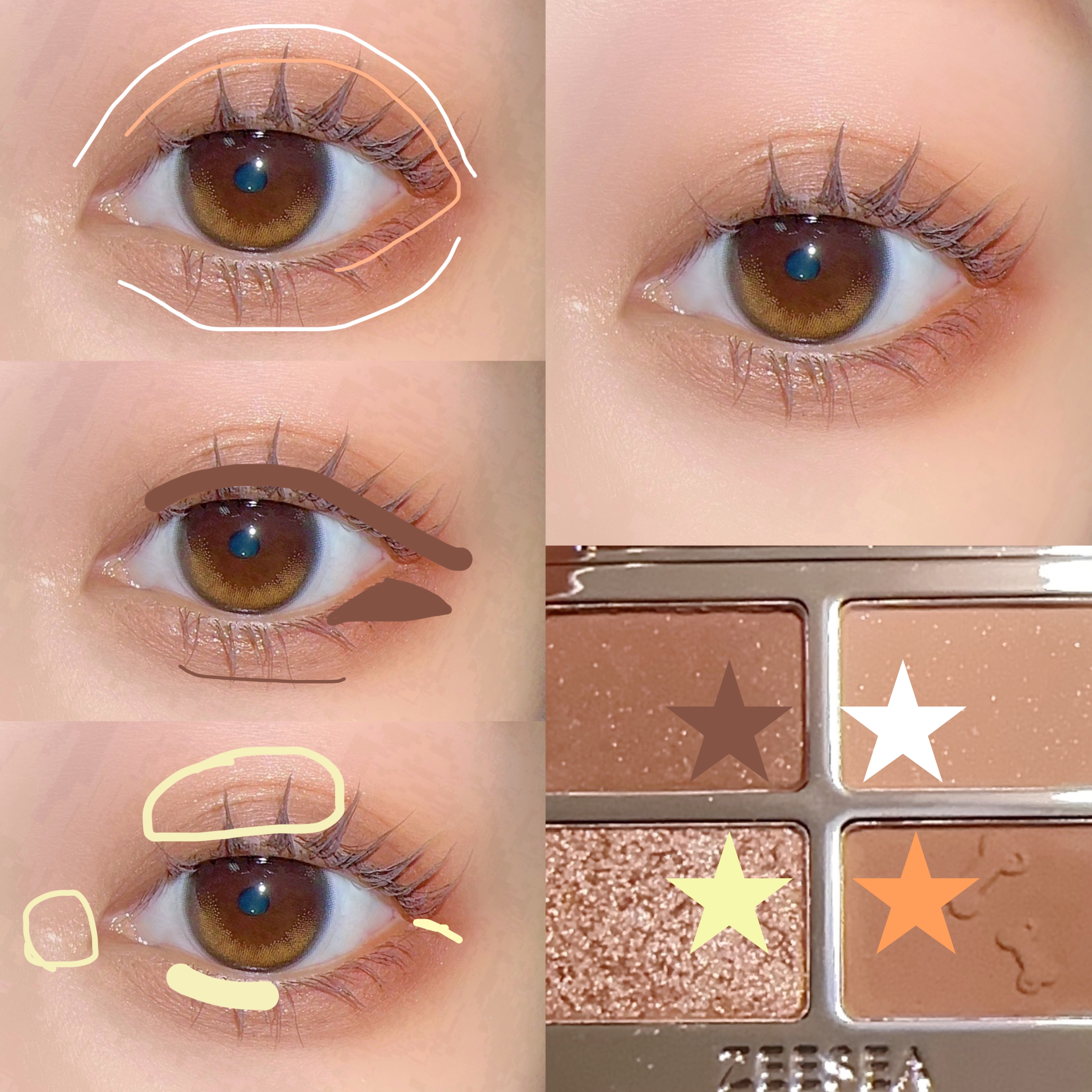 2023年冬新作アイシャドウパレット】アニマルアイシャドウ(4シェード