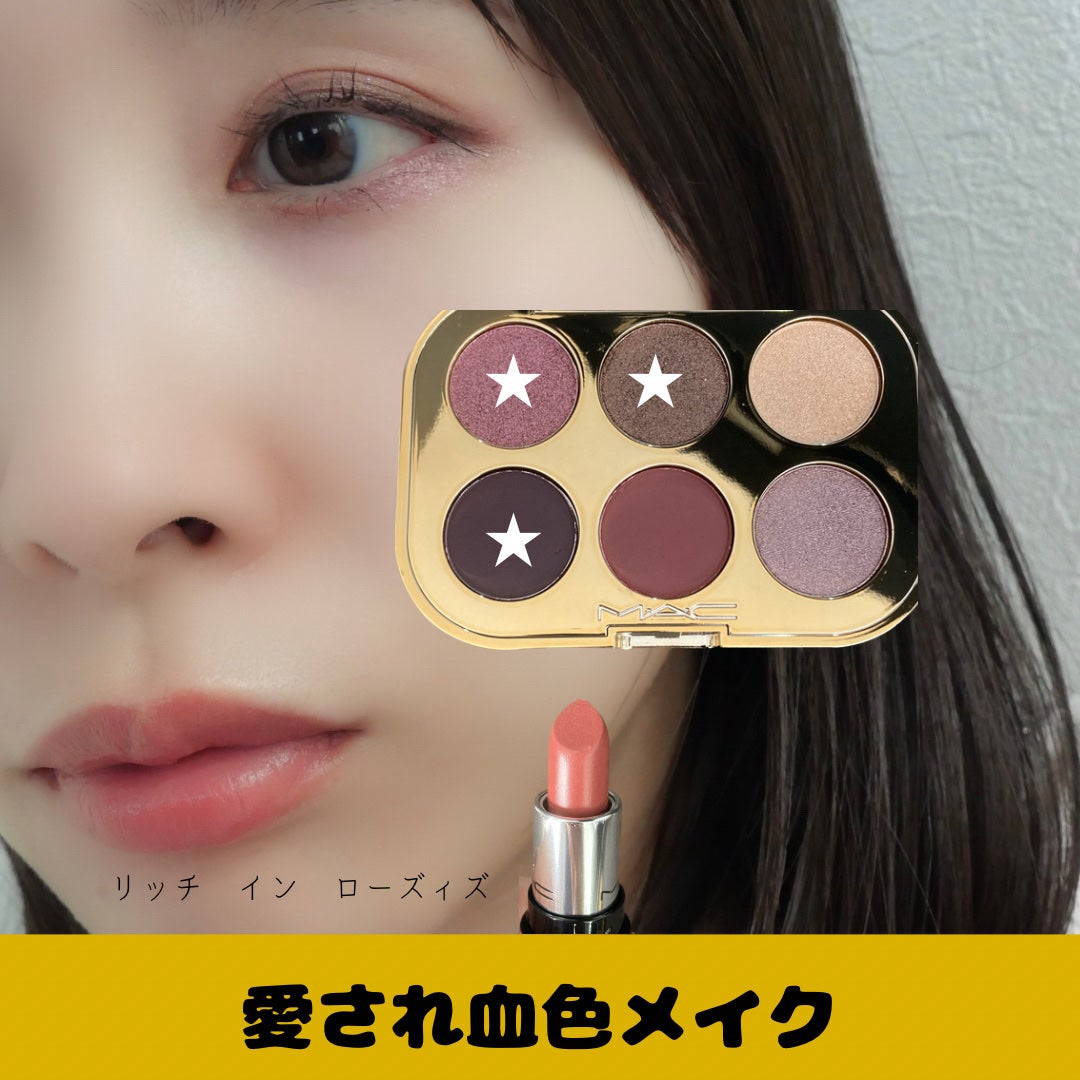 トレジャー アイシャドウ パレット ×6/M・A・C/アイシャドウパレットを使ったクチコミ(10枚目)