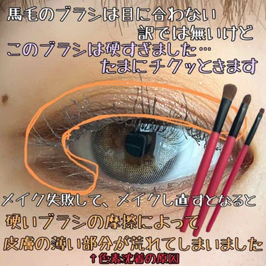 Docchi-mo Brush for Eye/貝印/メイクブラシを使ったクチコミ（3枚目）