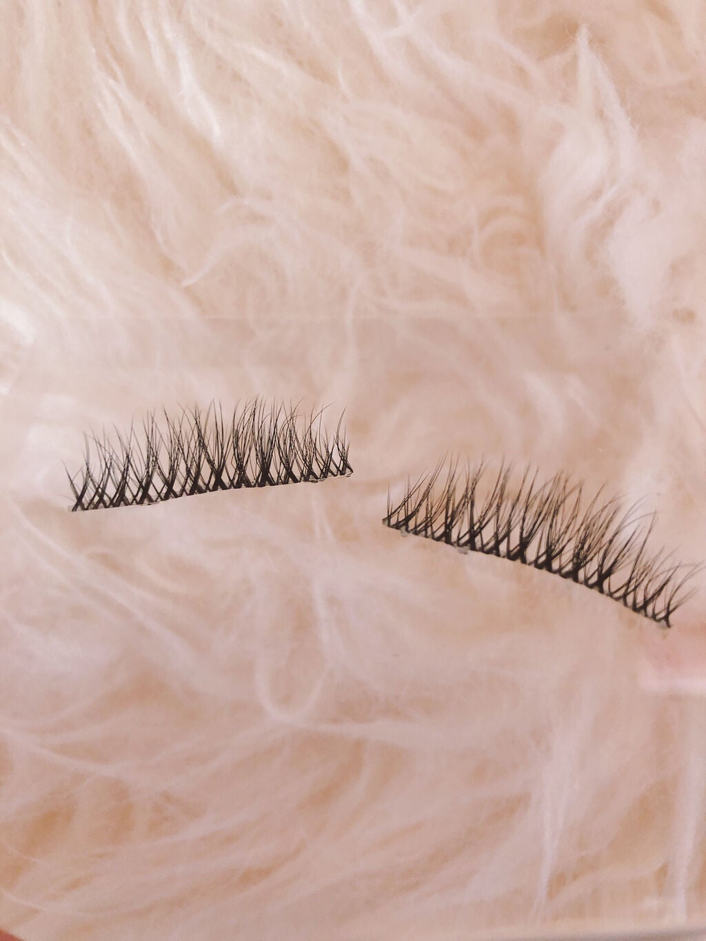 アイラッシュグルー/ミッシュブルーミン/つけまつげを使ったクチコミ(5枚目)