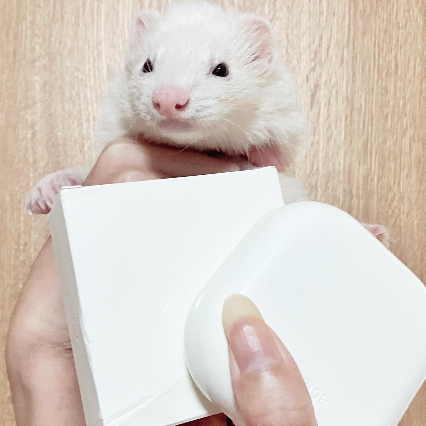 ネオ エッセンシャル フィニッシュパウダー/LANEIGE/ルースパウダーを使ったクチコミ(1枚目)