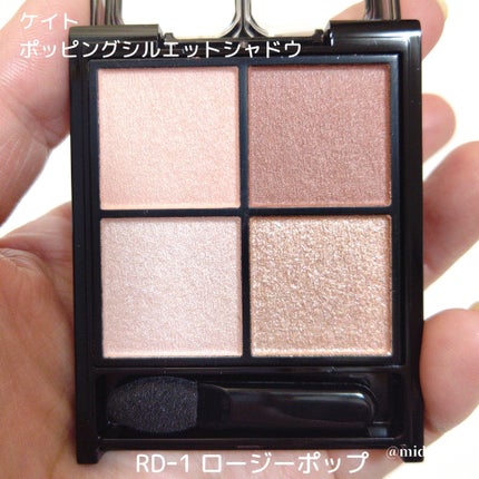 ケイト ポッピングシルエットシャドウ/KATE/アイシャドウパレットを使ったクチコミ(3枚目)