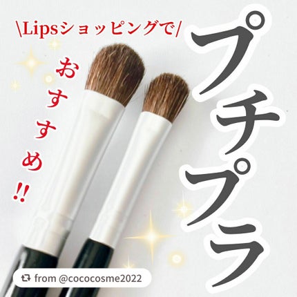 アイシャドウブラシセット/ロージーローザ/メイクブラシを使ったクチコミ(1枚目)