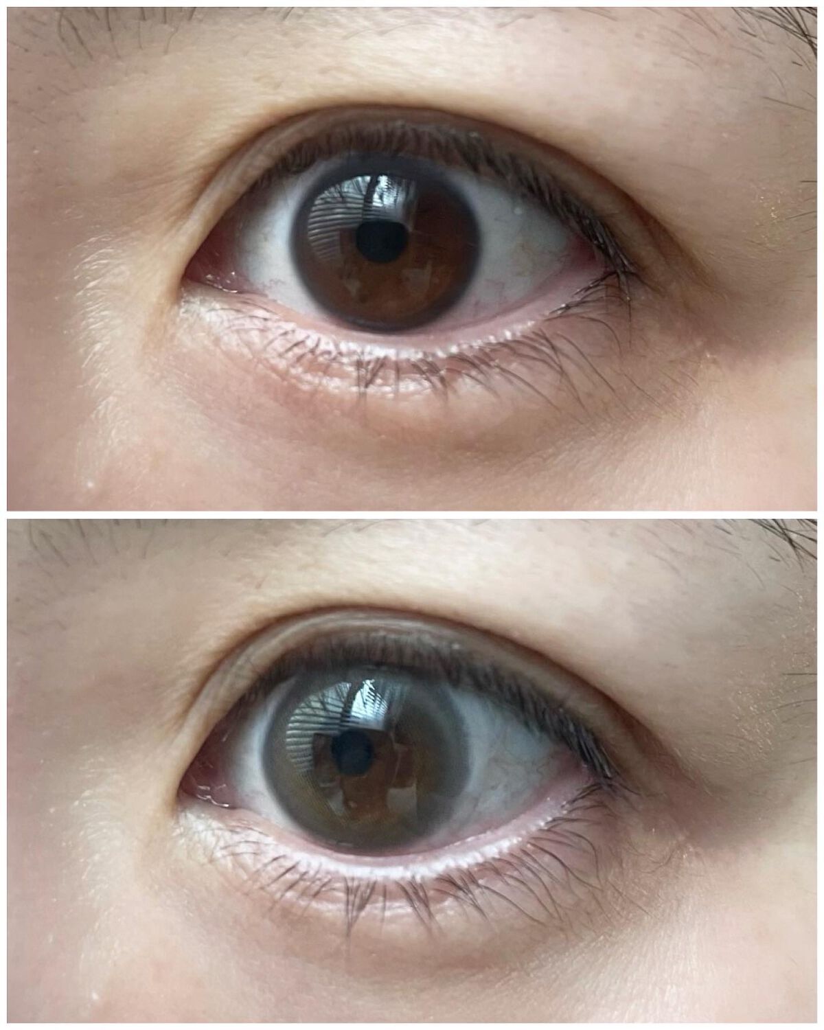 ReVIA 1day/ReVIA/ワンデー(1DAY)カラコンを使ったクチコミ(5枚目)