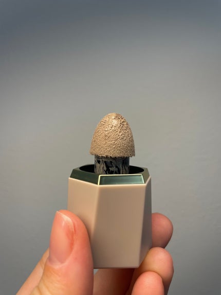 SHEGLAM Glowin'Up スキンスティックのクチコミ「SHEGLAM のチークカラ(HushHash) すごく気に入ったので、フェイスカラも買ってみ.....」(3枚目)