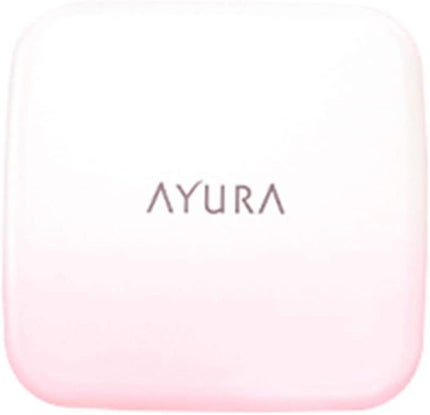 ブラッシュケースα