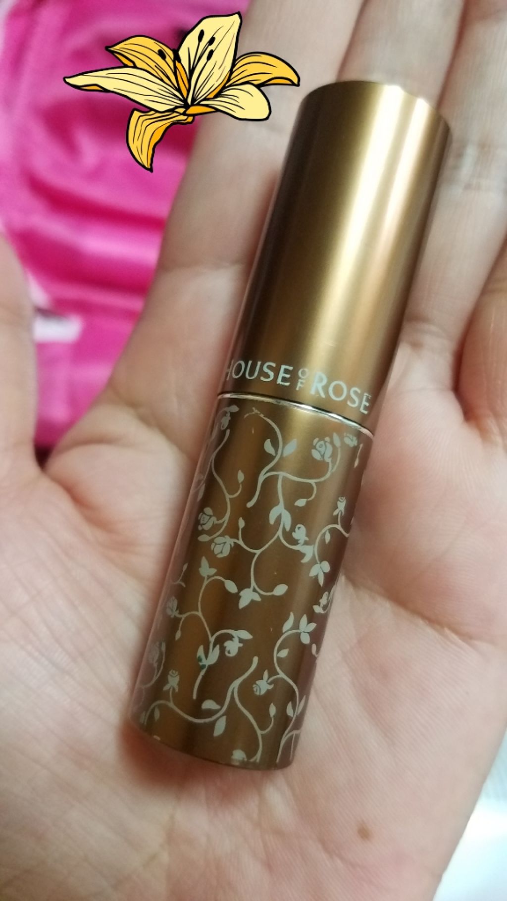 ハウスオブローゼファイナスリップスティック BR01/ジェイローゼ(ハウスオブローゼ)/口紅を使ったクチコミ(1枚目)