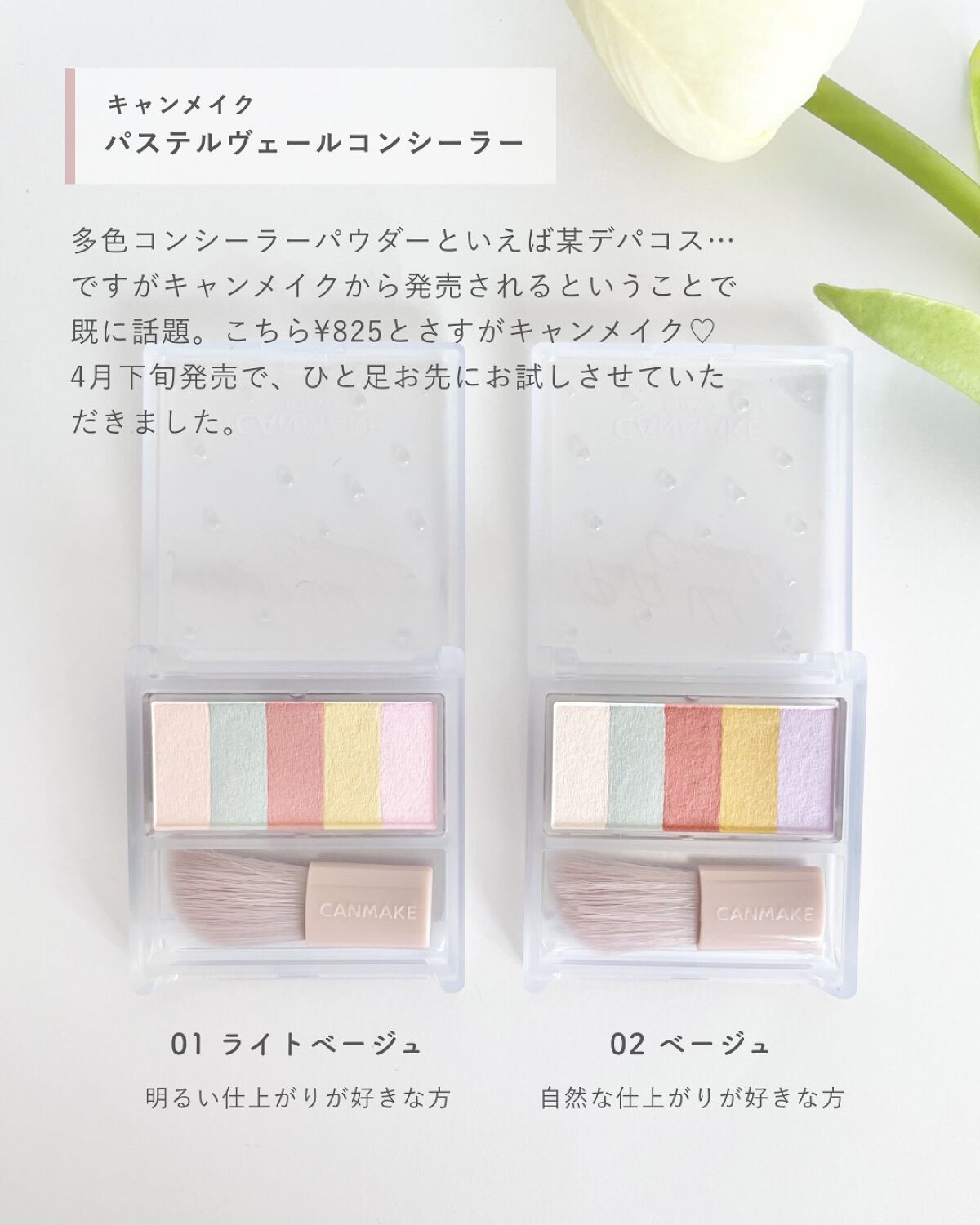 パステルヴェールコンシーラー/キャンメイク/パレットコンシーラーを使ったクチコミ(2枚目)