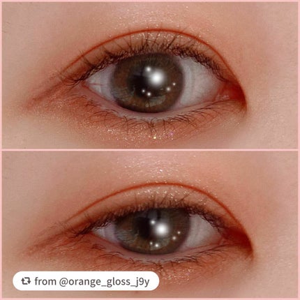 エクスプローラ12色 動物アイシャドウパレット/PERFECT DIARY/アイシャドウパレットを使ったクチコミ(2枚目)