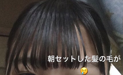 を使ったクチコミ(2枚目)