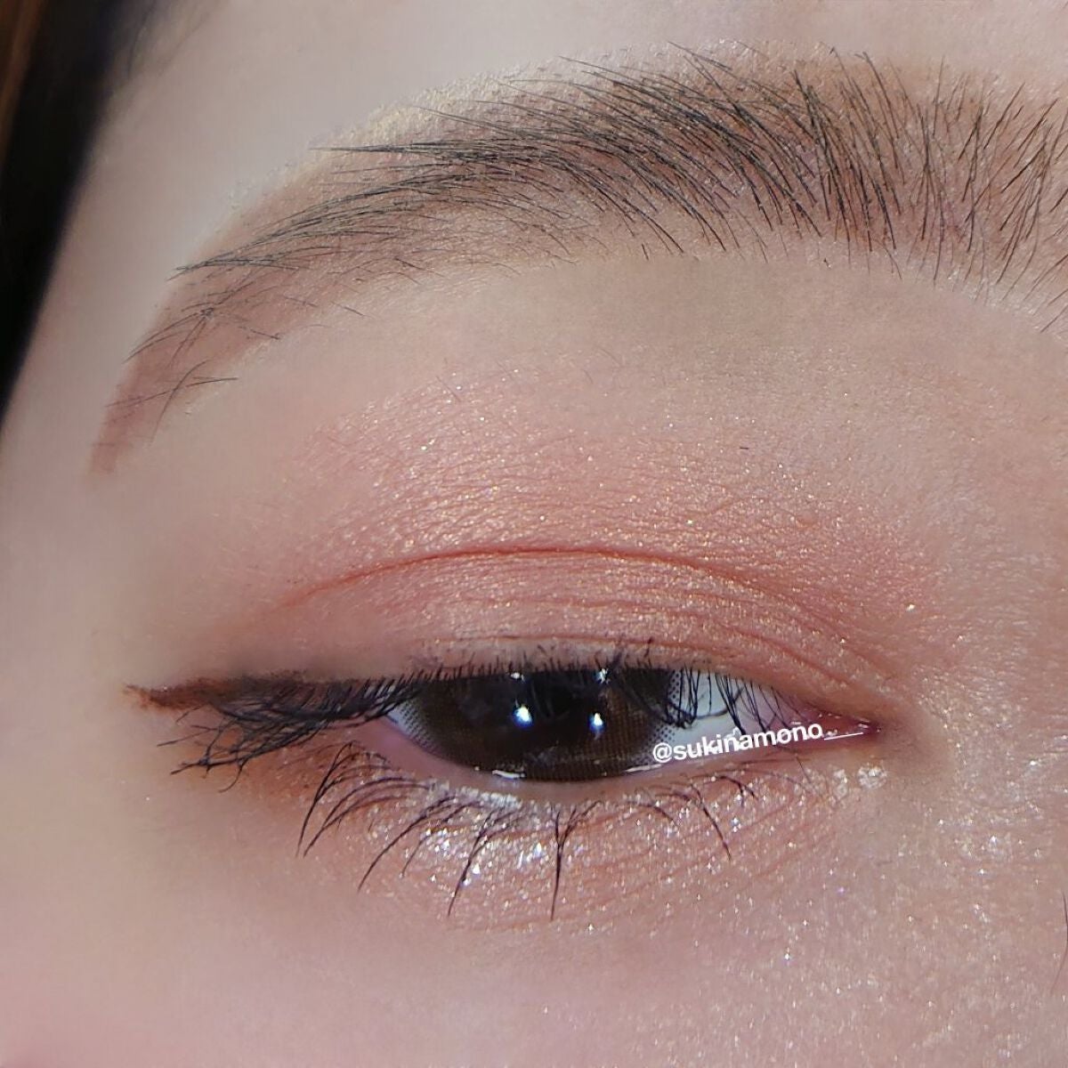 エクスプローラ12色 動物アイシャドウパレット/PERFECT DIARY/アイシャドウパレットを使ったクチコミ(5枚目)