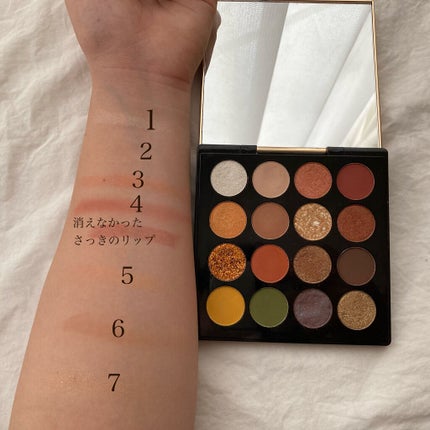 大英博物館 エジプトシリーズ アイシャドウパレット/ZEESEA/アイシャドウパレットを使ったクチコミ(2枚目)