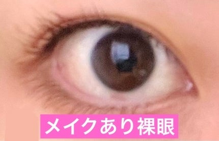 MOLAK 1day/MOLAK/ワンデー(1DAY)カラコンを使ったクチコミ(2枚目)