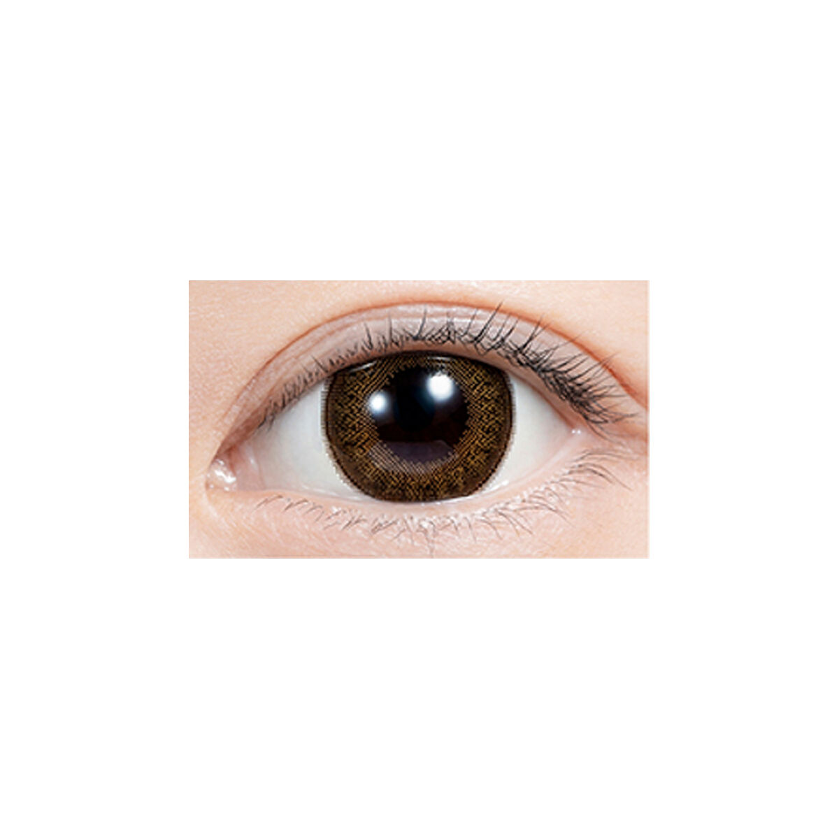 feliamo 1day チェスナット