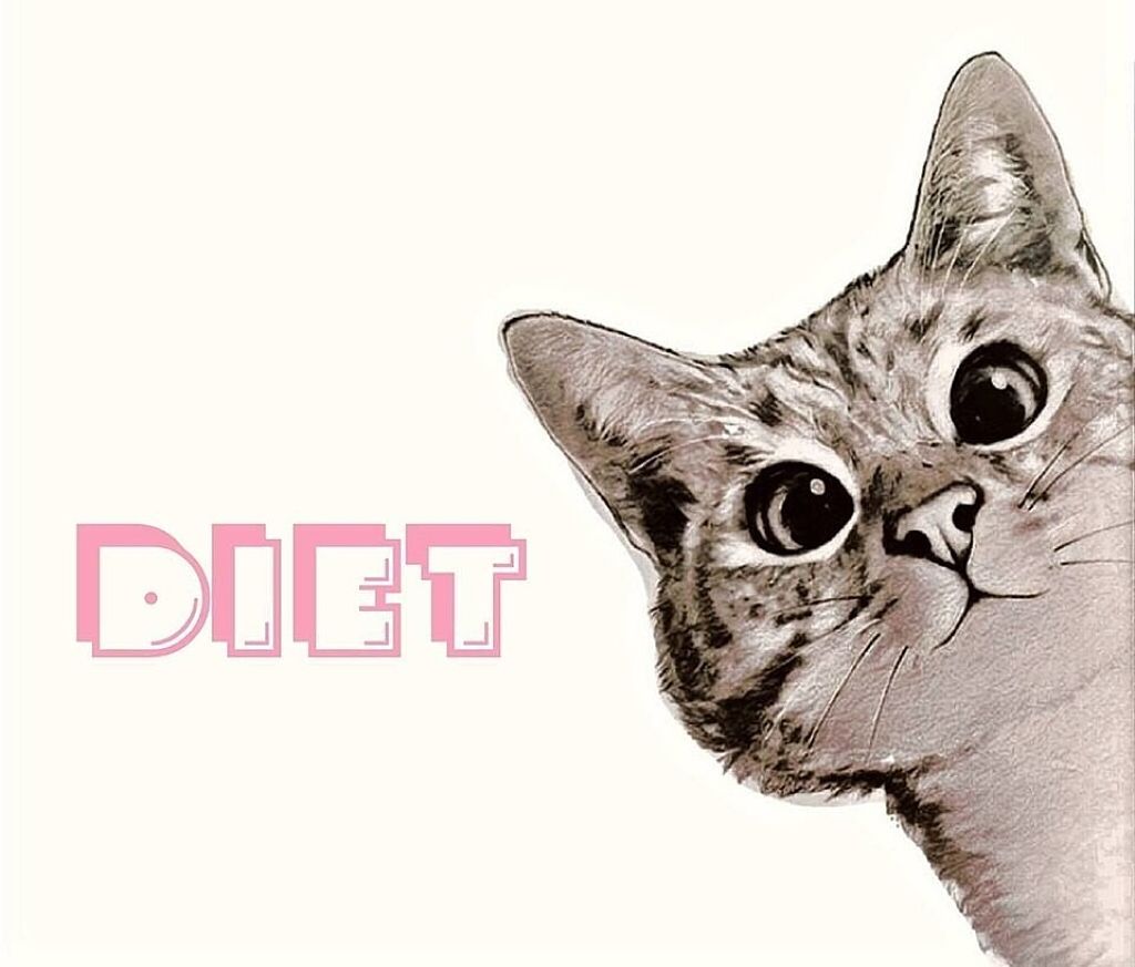 自己紹介/雑談/その他を使ったクチコミ（1枚目）