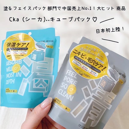 クレイパック 清 ライトグレー(しっとり)/C+/洗い流すパック・マスクを使ったクチコミ(1枚目)