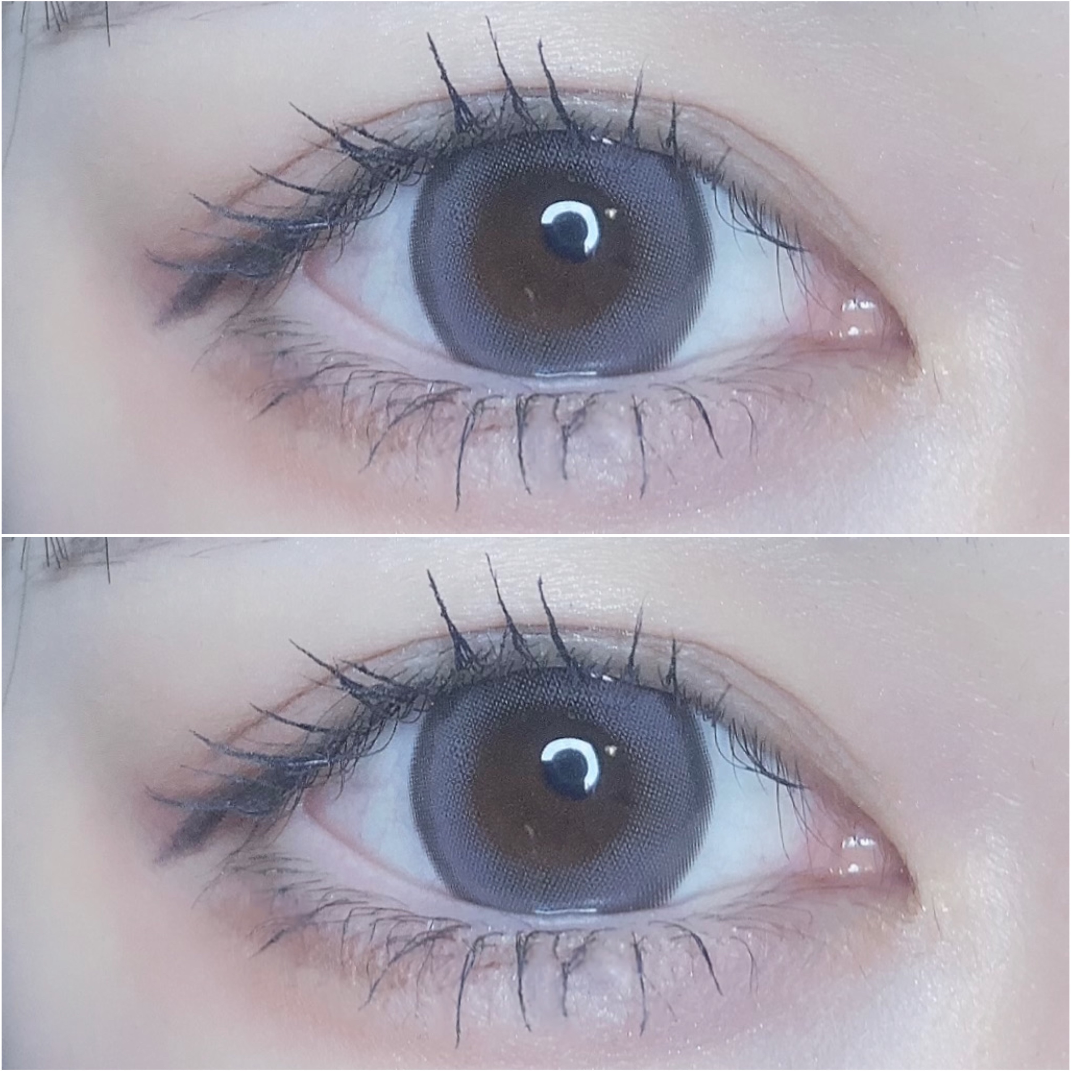 N’s COLLECTION 1day ブルーベリージャム/N’s COLLECTION/ワンデー（１DAY）カラコンを使ったクチコミ（2枚目）