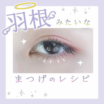 ラッシュエキスパンダー ロングロングロング/MAJOLICA MAJORCA/マスカラを使ったクチコミ(1枚目)