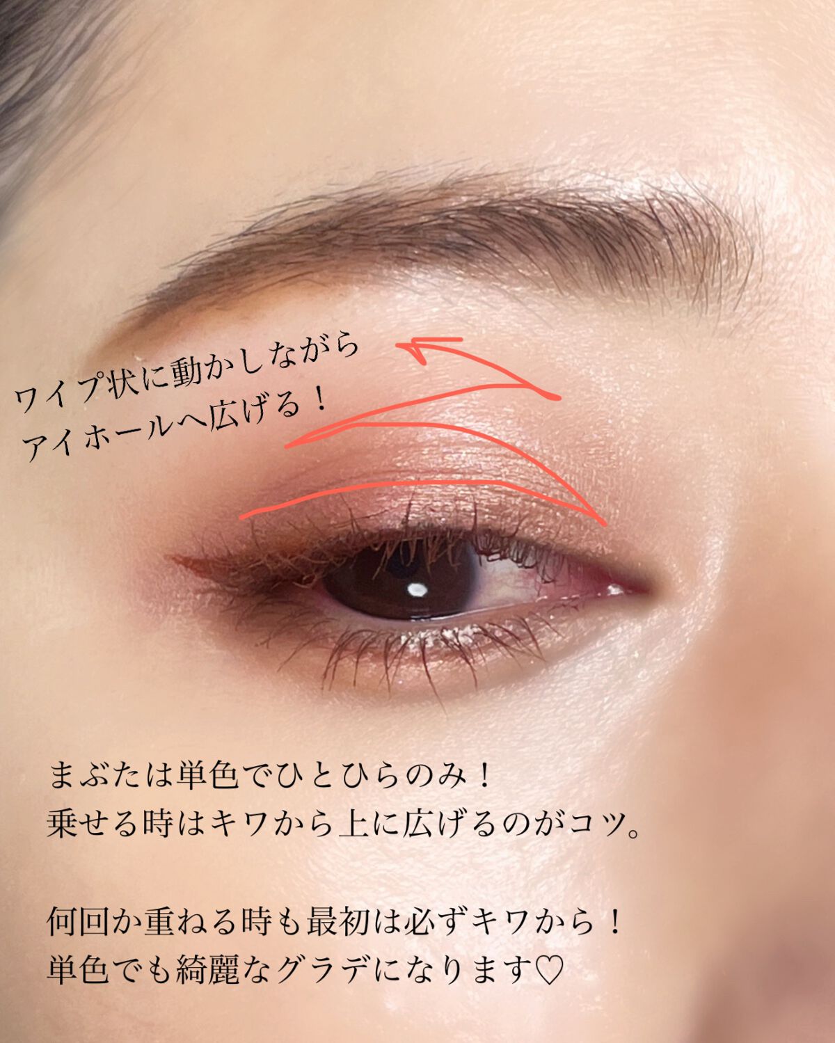 シャドーカスタマイズ/MAJOLICA MAJORCA/単色アイシャドウを使ったクチコミ（3枚目）