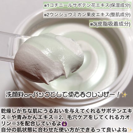 ピックパック クレンザー サボテン&青みかん/OFBASE/洗い流すパック・マスクを使ったクチコミ(2枚目)