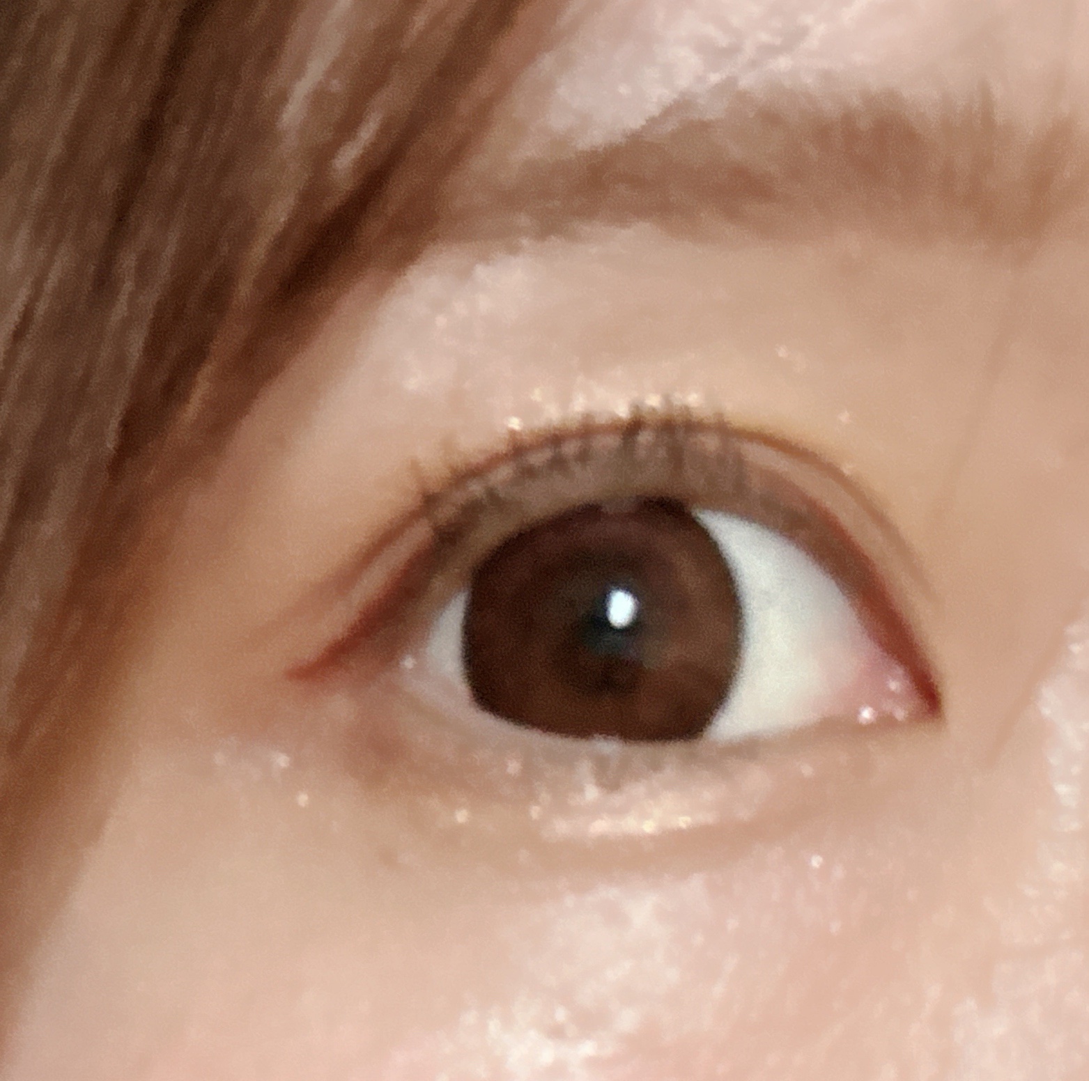 マイベストマスカラ ビターグレージュ/ドーリーウインク/マスカラを使ったクチコミ（2枚目）