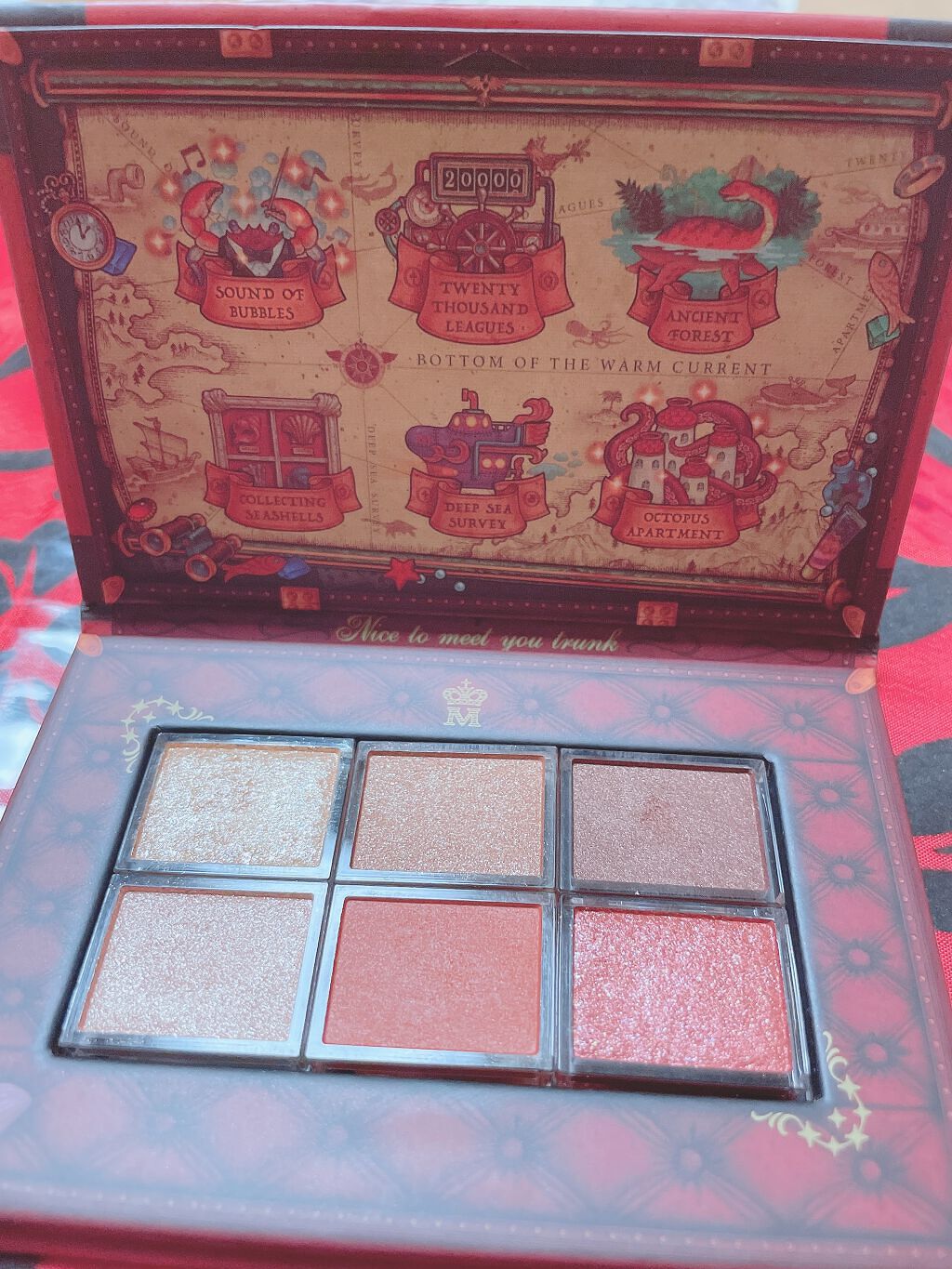 ナイストゥミーチュートランク テラコッタベージュ 暖流の底/MAJOLICA MAJORCA/アイシャドウパレットを使ったクチコミ（2枚目）