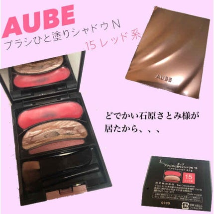 ブラシひと塗りシャドウN 15 レッド系/オーブ/アイシャドウパレットを使ったクチコミ(1枚目)