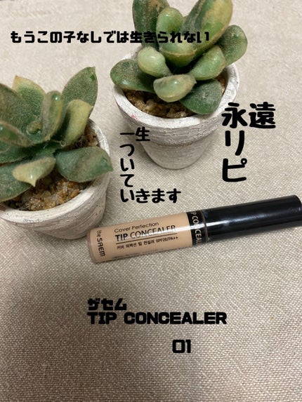 カバーパーフェクション チップコンシーラー/the SAEM/リキッドコンシーラーを使ったクチコミ(1枚目)
