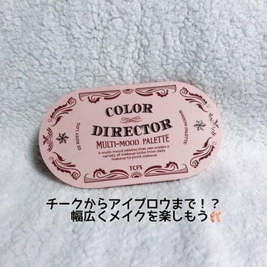 COLOR DIRECTOR/too cool for school/パウダーアイシャドウを使ったクチコミ（1枚目）