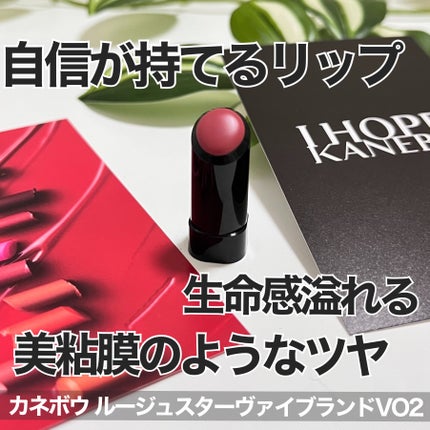 ルージュスターヴァイブラント/KANEBO/口紅を使ったクチコミ(1枚目)
