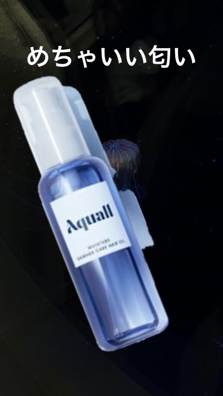 モイスチャーダメージケア ヘアオイル/Aquall/ヘアオイルを使ったクチコミ（1枚目）