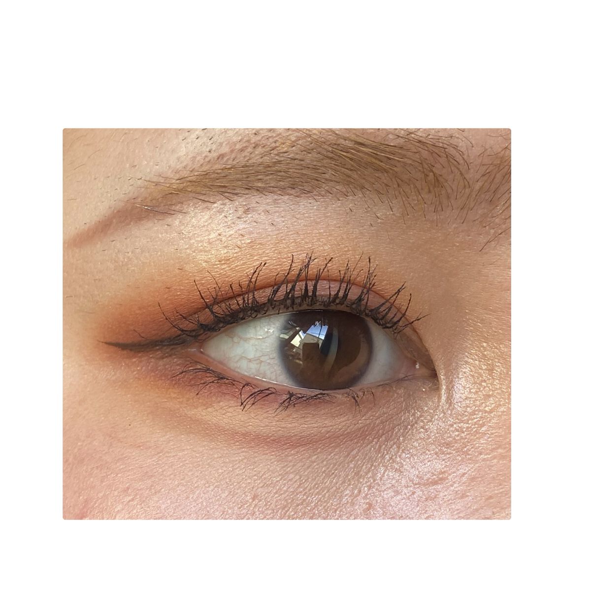 ショコラスウィート アイズ ソフトマット/リンメル ロンドン/アイシャドウパレットを使ったクチコミ（2枚目）