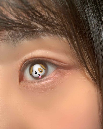 グロッシーリッチ アイズ N/Visée/アイシャドウパレットを使ったクチコミ(2枚目)