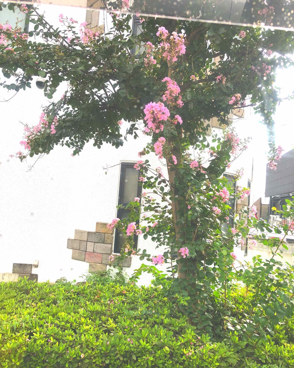 ANNA on LIPS 「こんばんわ(^^)最近雑談しちゃうあんなです!雑談コーナーも好..」(1枚目)