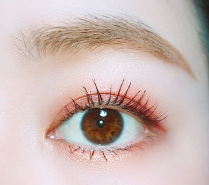 グロッシーリッチ アイズ N/Visée/アイシャドウパレットを使ったクチコミ(1枚目)