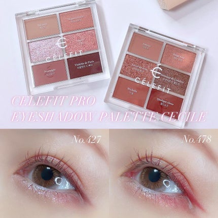プロアイシャドウパレットセシル/CELEFIT/アイシャドウパレットを使ったクチコミ(1枚目)