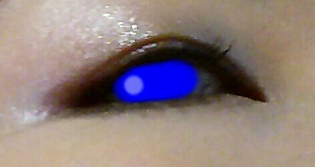 「塗るつけまつげ」ロングタイプ/デジャヴュ/マスカラを使ったクチコミ(2枚目)