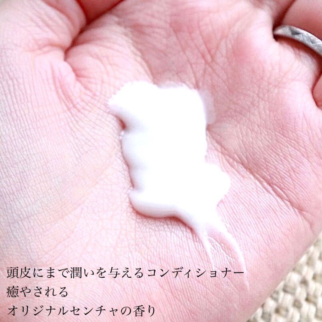 ボタアンド ザ シャンプー <sencha>/クオリティファースト/市販シャンプーを使ったクチコミ(4枚目)