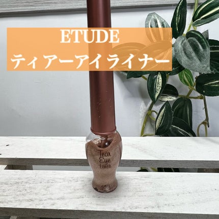 ティアー アイライナー/ETUDE/リキッドアイライナーを使ったクチコミ(1枚目)
