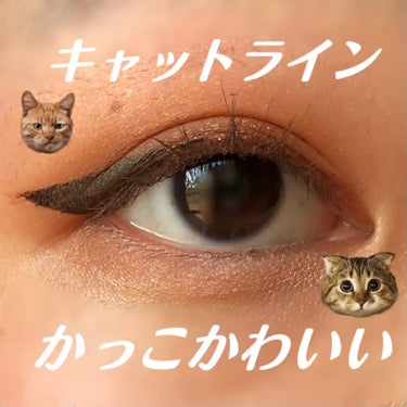 《セクシーな印象のキャットメイク》

キャットラインをひいてキャットメイクしてみました💜


使用アイテム
○VT Cosmetics Super Tempting Eye Palette
○UZU B