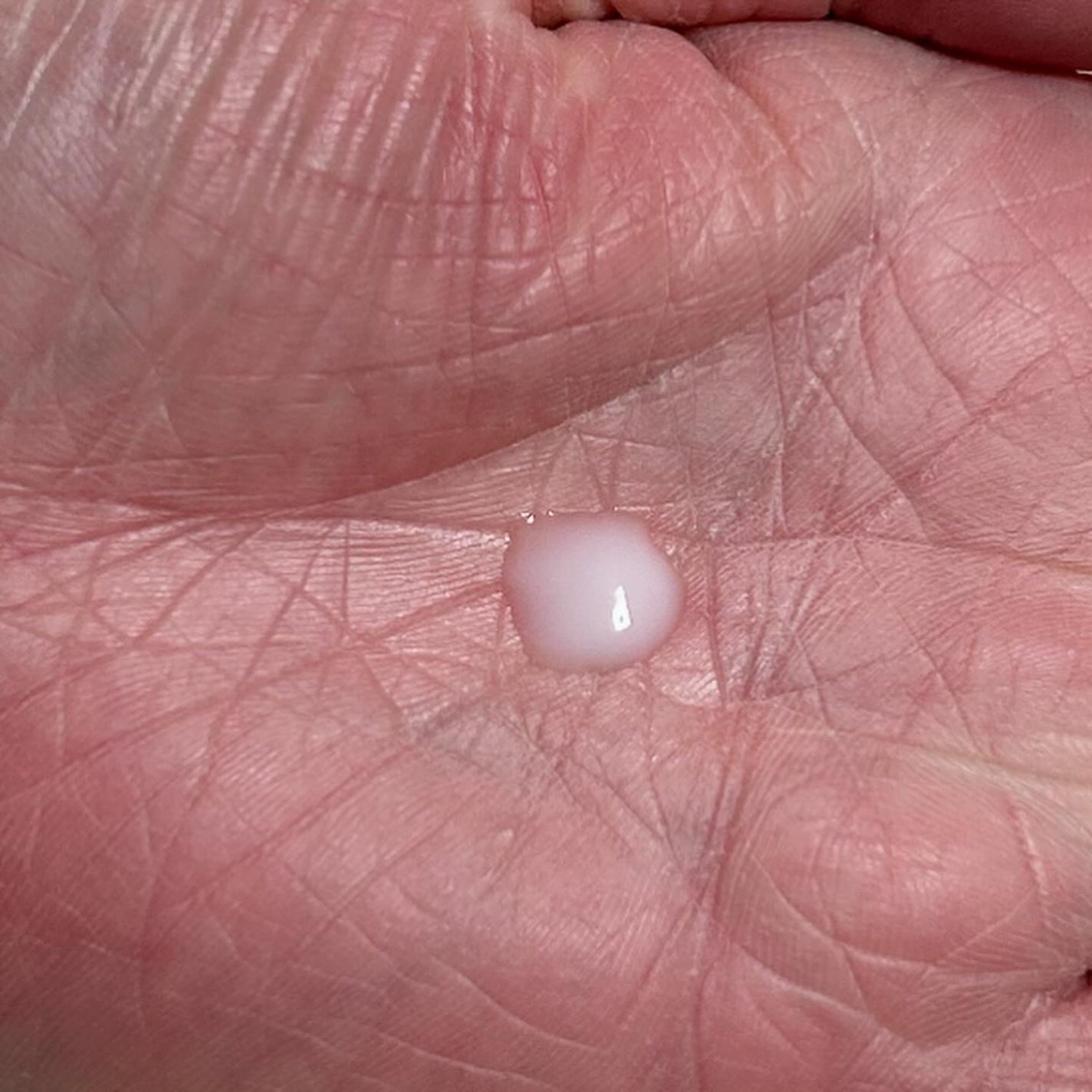 モイスト&ダメージケア アンプルミルク/ボンドプレックス/ヘアミルクを使ったクチコミ(2枚目)