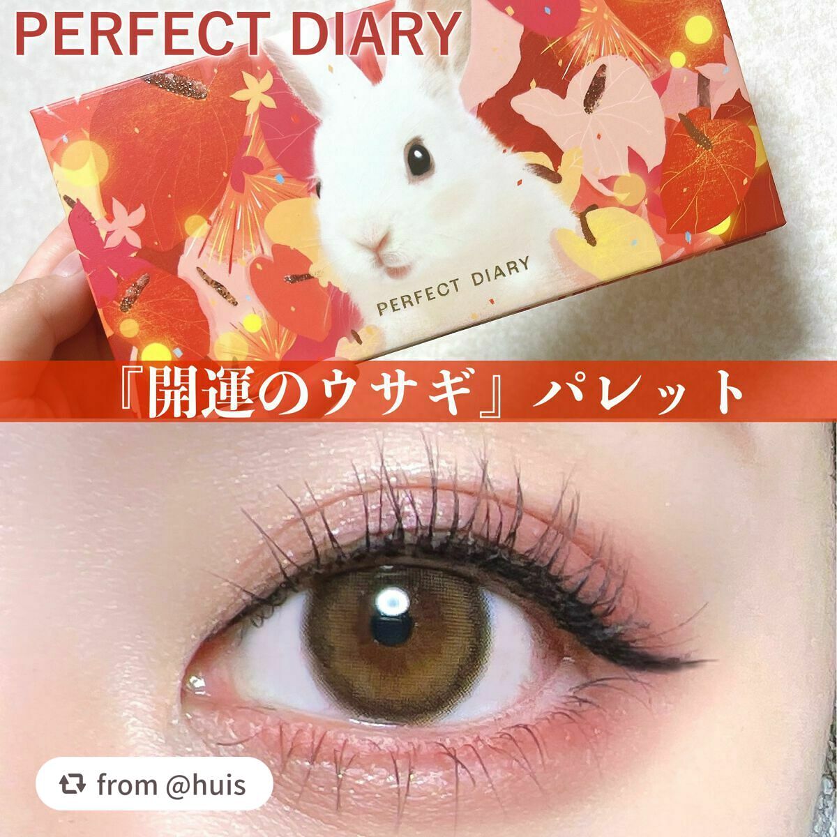 エクスプローラ12色 動物アイシャドウパレット/PERFECT DIARY/アイシャドウパレットを使ったクチコミ(1枚目)