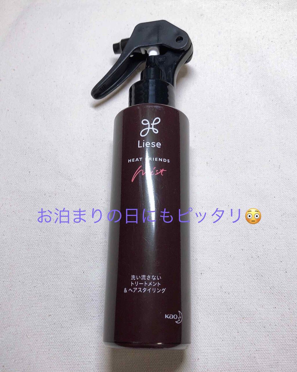 熱を味方にするミスト/リーゼ/ヘアミストを使ったクチコミ(1枚目)
